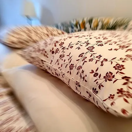 Séjour chez l'habitant Rokokovy Zamek *
